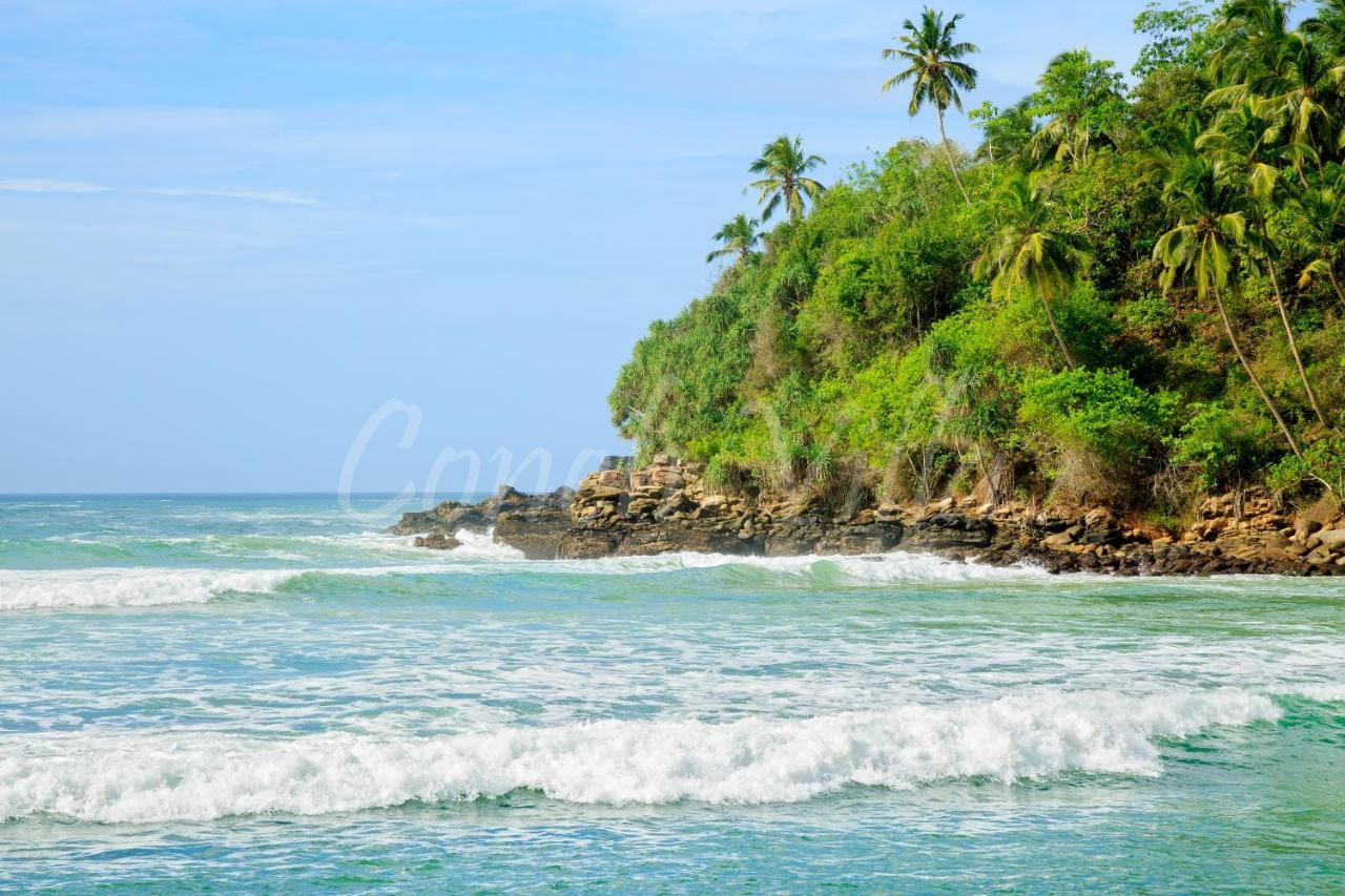 Grand Conch Villa Tangalle Exterior foto